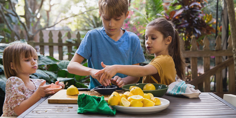Volunteer_Opportunities_Lemonade_Stand