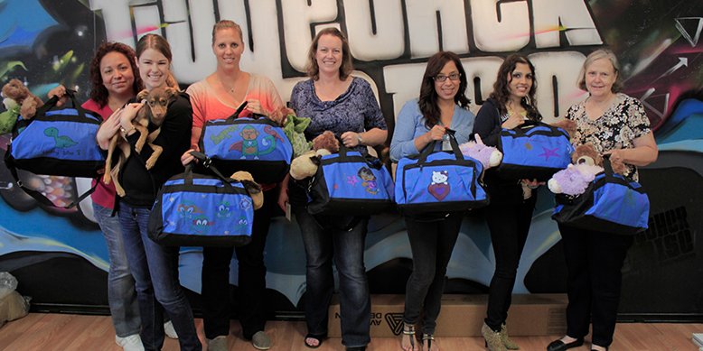 sweet cases for veterinary
