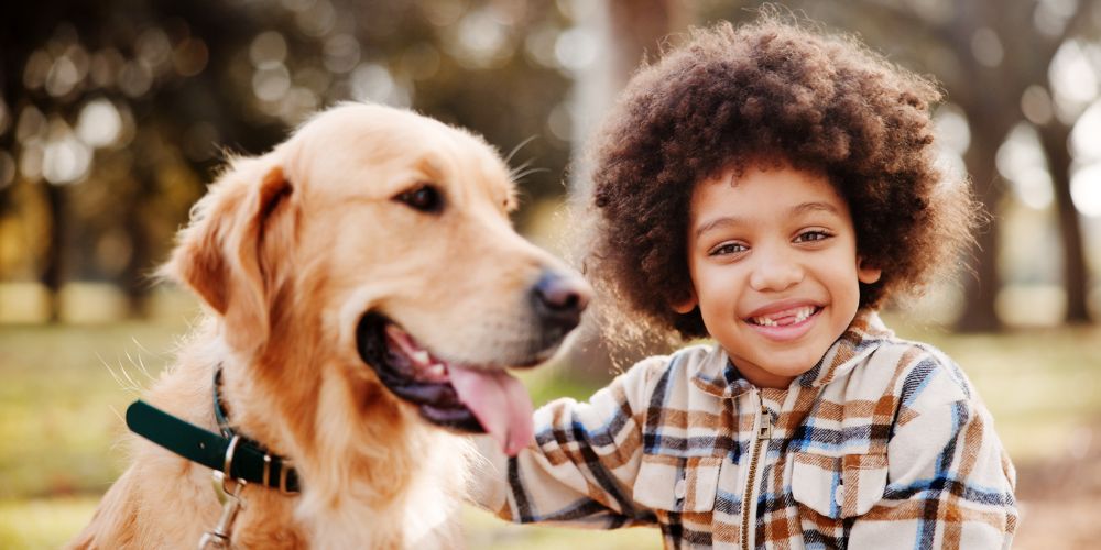 How to introduce dog to a foster child