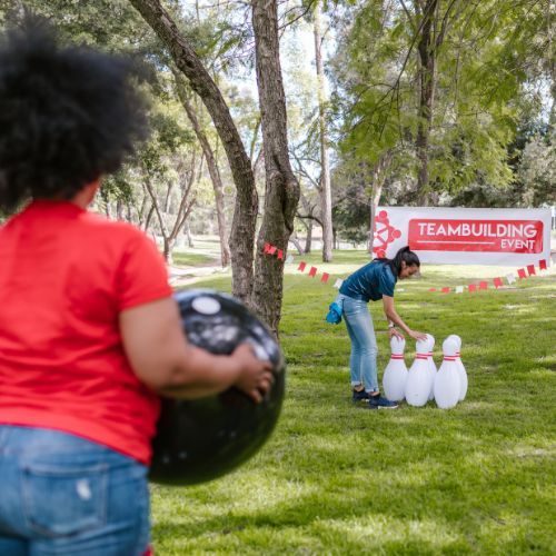 giant bowling lawn game